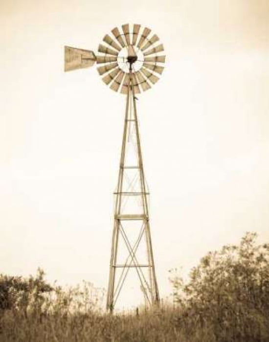 Windmill I Canvas Art - Sonja Revells (22 x 28)