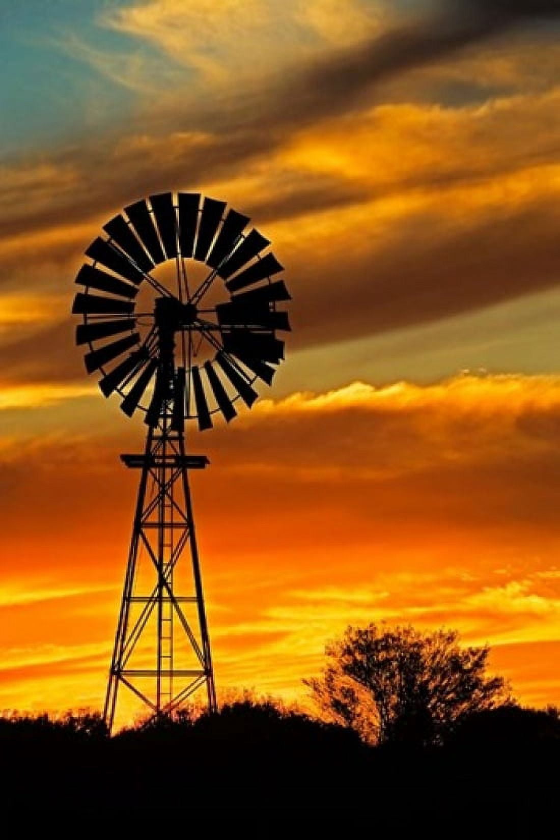 Windmill Oodnadatta Track Outback Australia Canvas Art - David Wall DanitaDelimont (24 x 36)