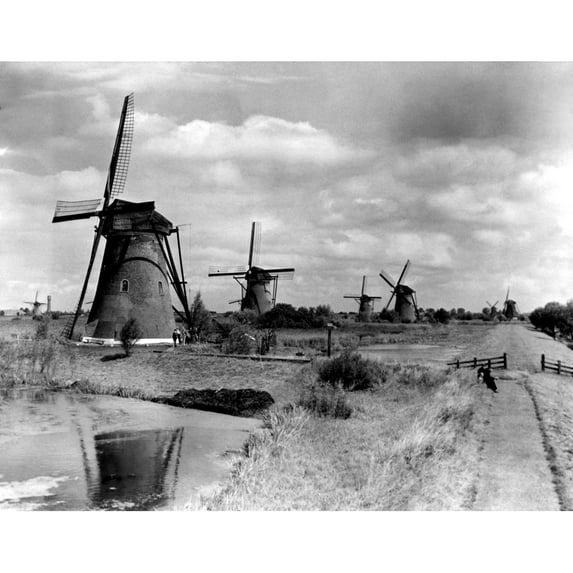 'Windmill Row' Near Rotterdam History (24 x 18)