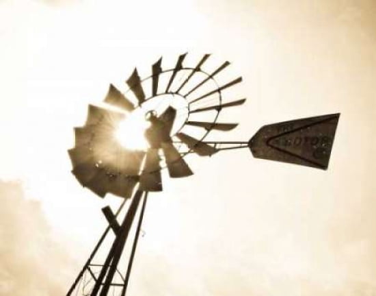 Windmill Studies IV Canvas Art - Sonja Revells (22 x 28)