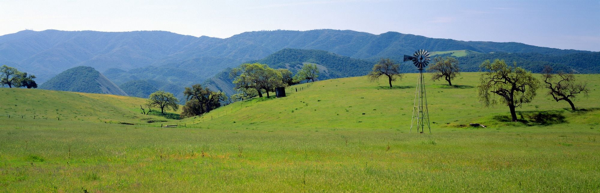 Windmill and oak trees in spring along Route 154 Santa Ynez California Canvas Art - Panoramic Images (36 x 12)