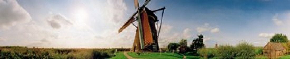 Windmill in a farm Netherlands Canvas Art - Panoramic Images (38 x 8)