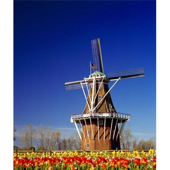 Windmill in a tulip field De Zwaan Windmill Island Holland Ottawa County Michigan USA Poster Print