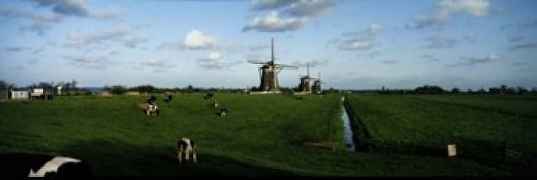 Windmills Netherlands Canvas Art - Panoramic Images (18 x 6)