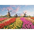 thumbnail image 1 of Windmills and Tulips 1000 Piece Jigsaw Puzzle (Other), 1 of 2