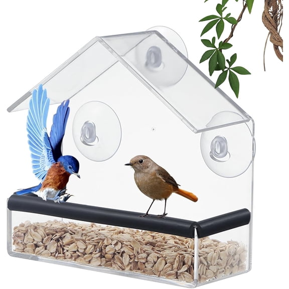 Window Bird Feeder, Bird House for Outside with Rubber pad, Small Acrylic Window Bird Feeder with Strong Suction Cups and Drain Holes 6.2 * 2.4 * 6.2 in