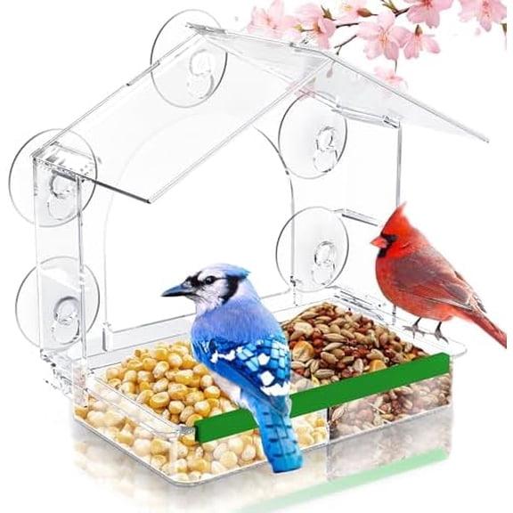 Window Bird Feeder, Clear Birds Feeder with 5 Strong Suction Cups, Easy-to-Clean Detachable Feeding Tray, Outdoor Window Viewing Box, Weatherproof Garden Decor, Gifts for Bird Lovers, Cats