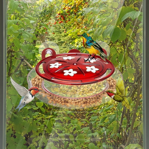 Window Bird Feeder Clear View Bird Watching Station with Suction Cups, Easy Installation Round Hummingbird Feeder for Outdoor Garden Decor, Up Close Feeder for Wild Birds with Metal Frame