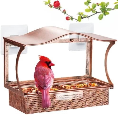 Window Bird Feeder, Metal - with Strong Suction Cups, Large Outdoor for Viewing Bird Watching Gift (Curved)