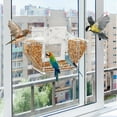 thumbnail image 1 of Window Bird Feeder With Strong Suction Cup And Self-Adhesive, Clear Birdfeeder For Window Larger Viewing,Squirrel-Proof Bird Watching With Large Food Storage Design For Outdoors,Gifts For Mom Elderly, 1 of 5
