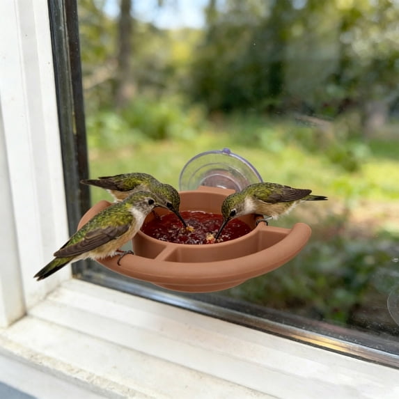 Window Bird Feeder for Outdoors with Strong Suction Cups, Clear View for Wild Bird, Easy Clean & Easy to Fill, Removable Tray, Great Gift