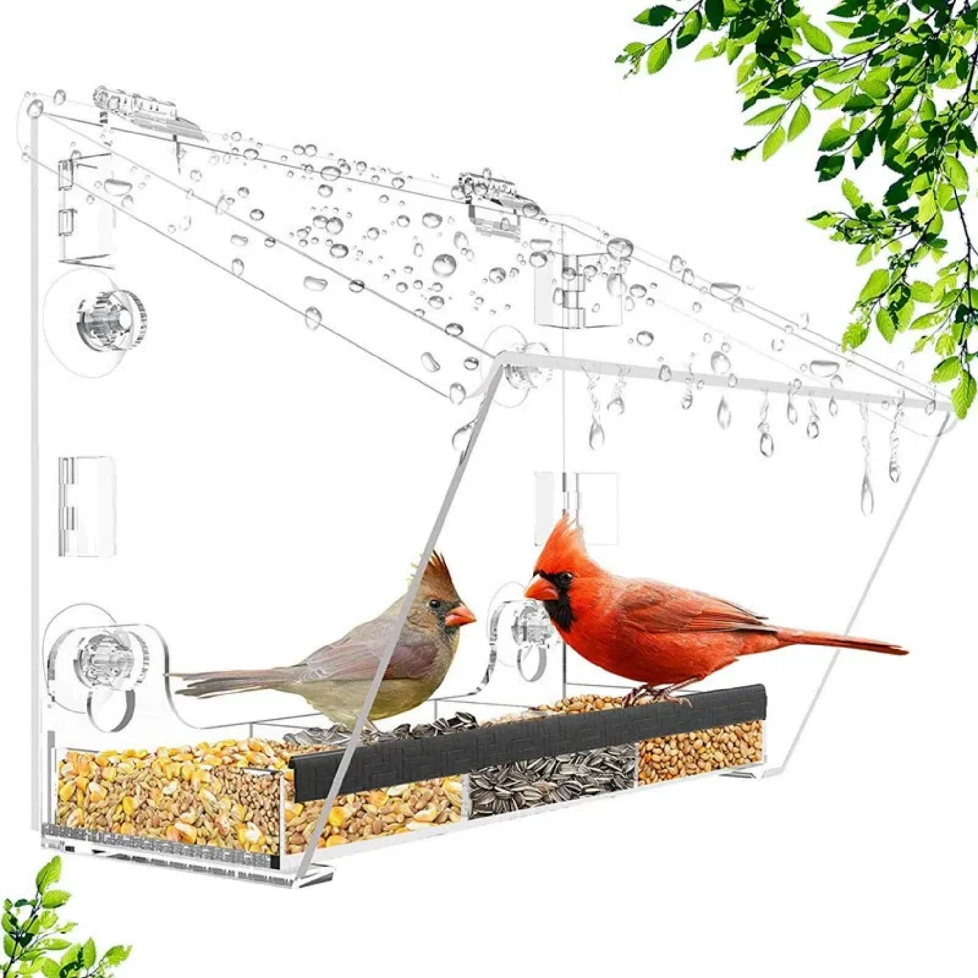 Window Bird Feeder with Strong Suction Cups – Acrylic Birdfeeder for Outdoor Wild Bird Viewing, Mounts on Window, Wall, or Bird Pole
