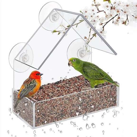 Window Bird Feeders For Outside With Strong Suction Feeder Bird Watching