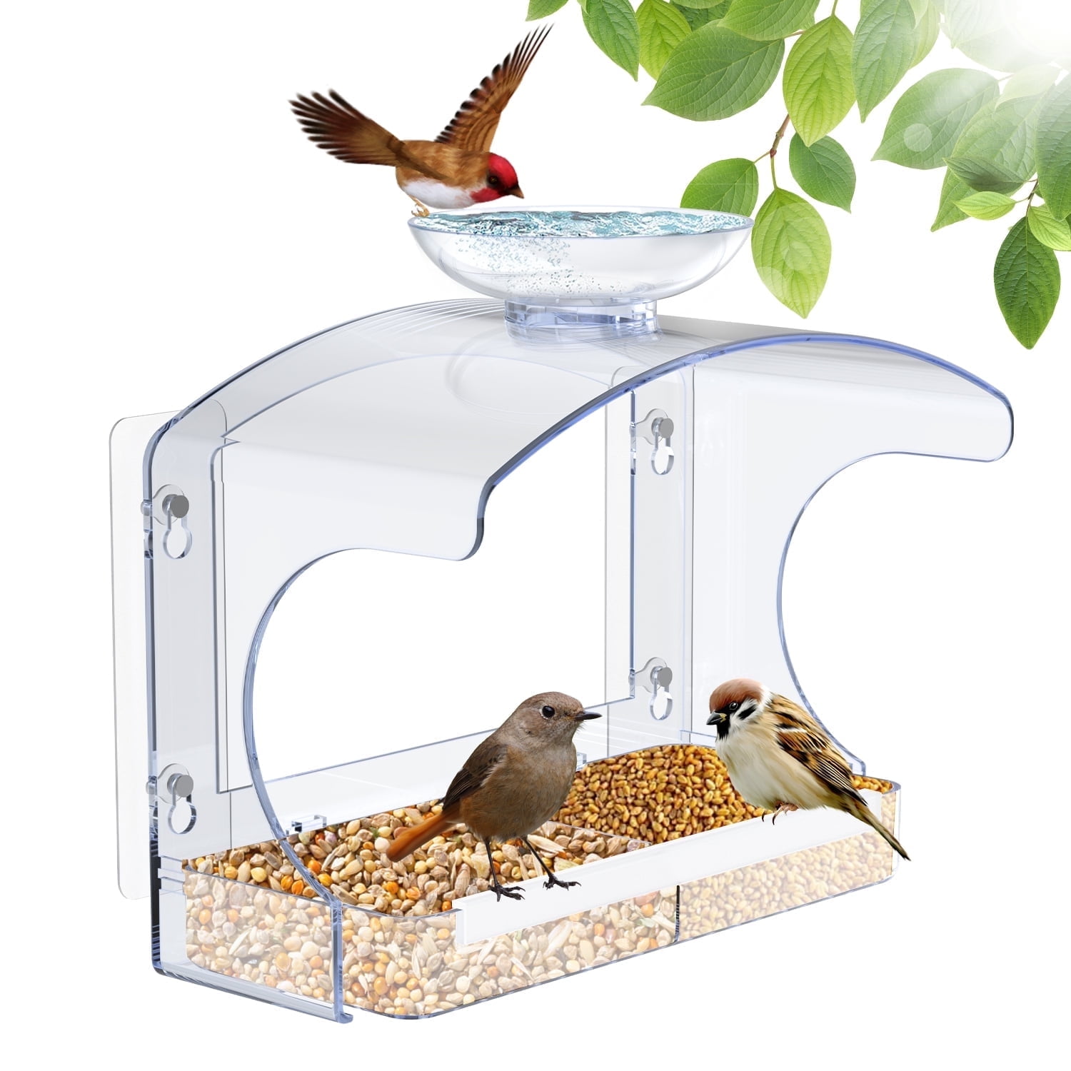 Window Bird Feeders Outside with 2 Non-Marking Self-Adhesive Hooks