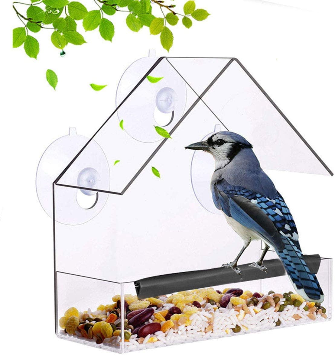 Nature Anywhere Transparent Acrylic Window Bird Feeder - Enhanced Suction  Grip, Bird Watching for Cats, Easy-to-Clean, Outdoor Birdhouse - Perfect  for