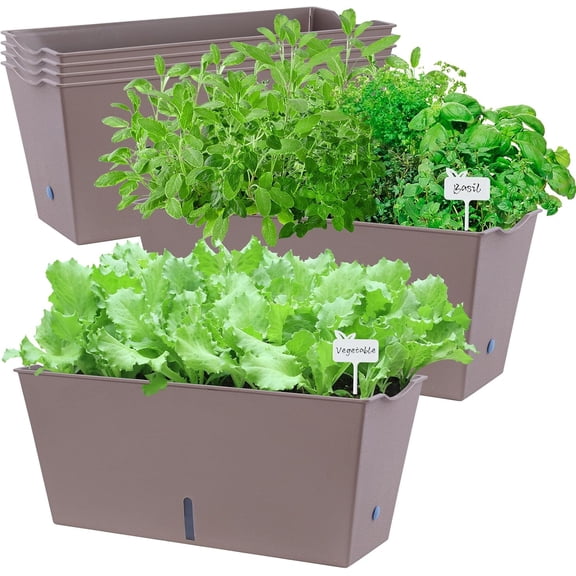 Window Box Planter 6 Pcs, 16.5 Inches Self Watering Rectangle Flower Plant Pots with Drainage Holes Trays, Vegetable Planters for Windowsill Patio Garden Balcony Porch Yard (Khaki)