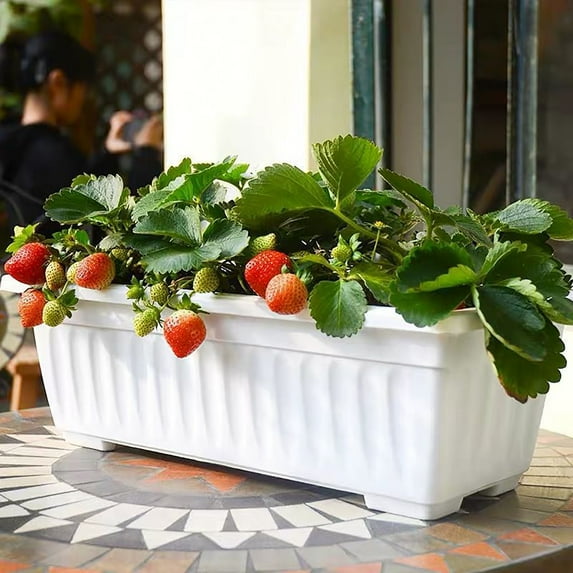 Window Box Planter,Plastic Vegetable Flower Planters Boxes 17 Inches Rectangular Flower Pots with Saucers for Indoor Outdoor Garden,Patio,Home Decor(White)