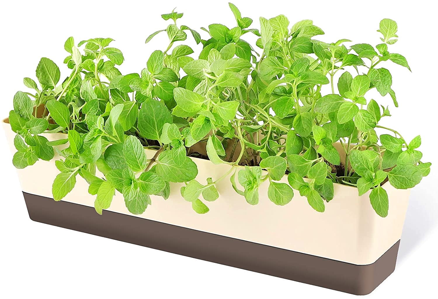 Window Boxes, 1 Pack 16 x3.8 Inch Indoor Rectangle Planter, Herb Succulent Cactus Window Box with Saucer, Modern Plastic Plant Pot for Windowsill, Garden Balcony, Home Office Outdoor Decor