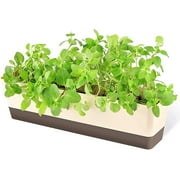 Window Boxes, GIXUSIL1 Pack 16 x3.8 Inch Indoor Rectangle Planter, Herb Succulent Cactus Window Box with Saucer, Modern Plastic Plant Pot for Windowsill, Garden Balcony, Home Office Outdoor Decor