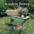 thumbnail image 1 of Pre-Owned Window Boxes (Hardcover) 184543241X 9781845432416, 1 of 1
