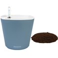 thumbnail image 1 of Window Garden Aquaphoric Self-Watering Planter with&nbsp;Fiber Soil, Foolproof Indoor Planter for Flowers, 7'', 1 of 6