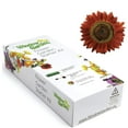 thumbnail image 1 of Window Garden - Evening Sun Sunflower Flower Starter Kit - Grow Beauty 10.5x4.5x2.25 inch, 1 of 6