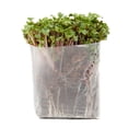thumbnail image 1 of Window Garden Expanding Organic Fiber Soil 10qt + Hydrating Bag, Potting Soil for Planting, 1 of 10