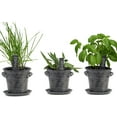 Window Garden Growing OIF8 Kit Grow an Indoor Kitchen Windowsill