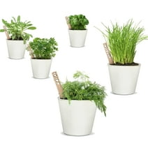 Window Garden Herbs Kit - Easy-to-Grow Herb Seeds for Indoor and Outdoor Herb Gardens, Includes Bamboo Markers and Self-Watering Planters for Kitchen Sill and Windowsill Gardening