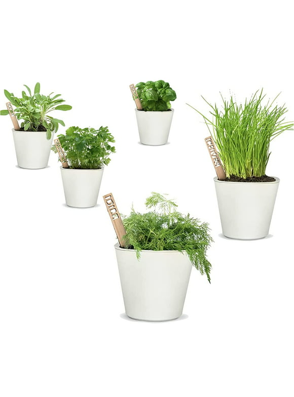 Window Garden Herbs Kit - Easy-to-Grow Herb Seeds for Indoor and Outdoor Herb Gardens, Includes Bamboo Markers and Self-Watering Planters for Kitchen Sill and Windowsill Gardening