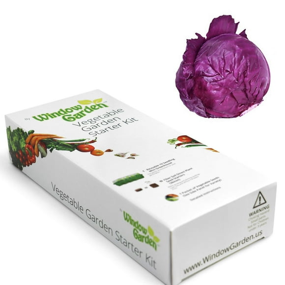Window Garden - Red Cabbage Vegetable Starter Kit - Grow Your Own Food. Germinate Seeds on Your Windowsill Then Move to a Patio Planter or Vegetable Patch - Easy. (Red Cabbage)