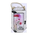 thumbnail image 1 of Window Message Ornament - One Ornament 3.75 Inch, Wood - Mini Family Friend Professional Er75690 Daughter, 1 of 3