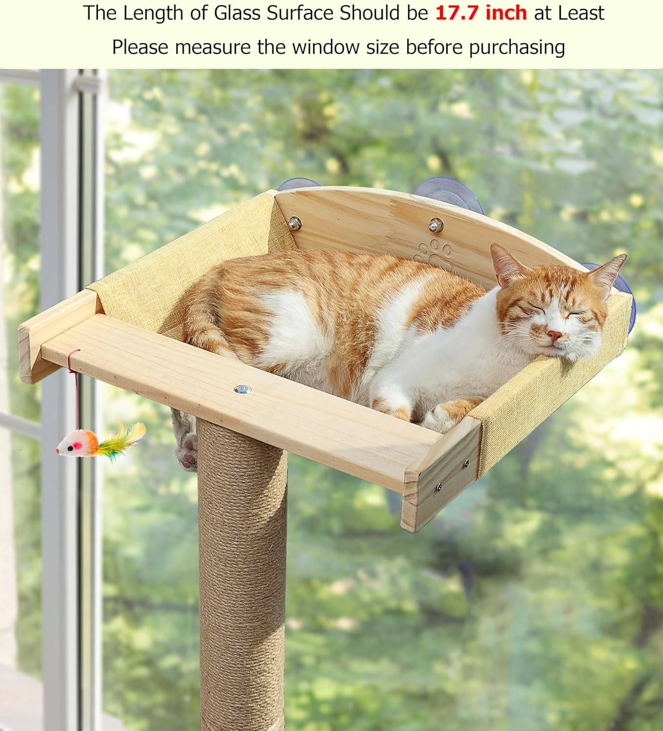 Window Perch with Tall Scratching Posts, Inside  Climbing Tree Hammock Mounted with Suction Cups for Sleeping Playing and Watching Birds