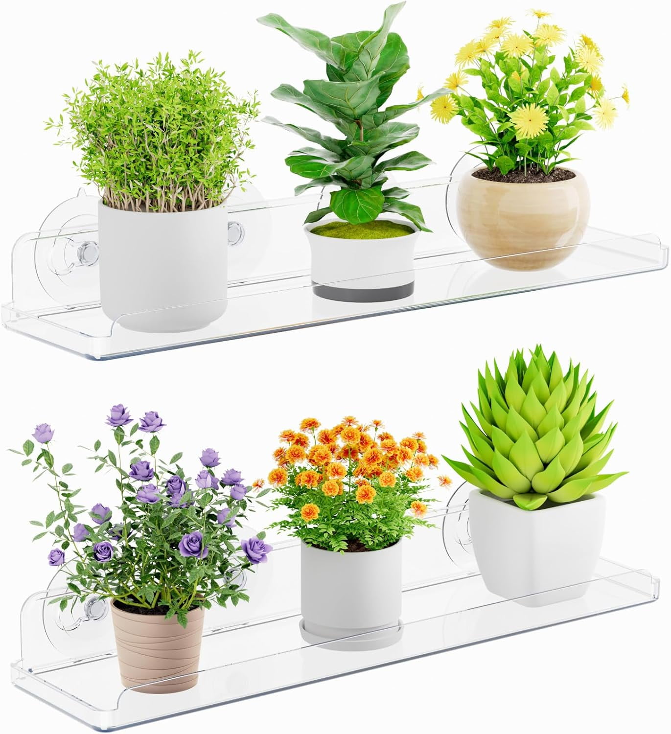 Window Plant Floating Shelves 15 x 4 inch, 2 Pack Acrylic Suction Cup ...