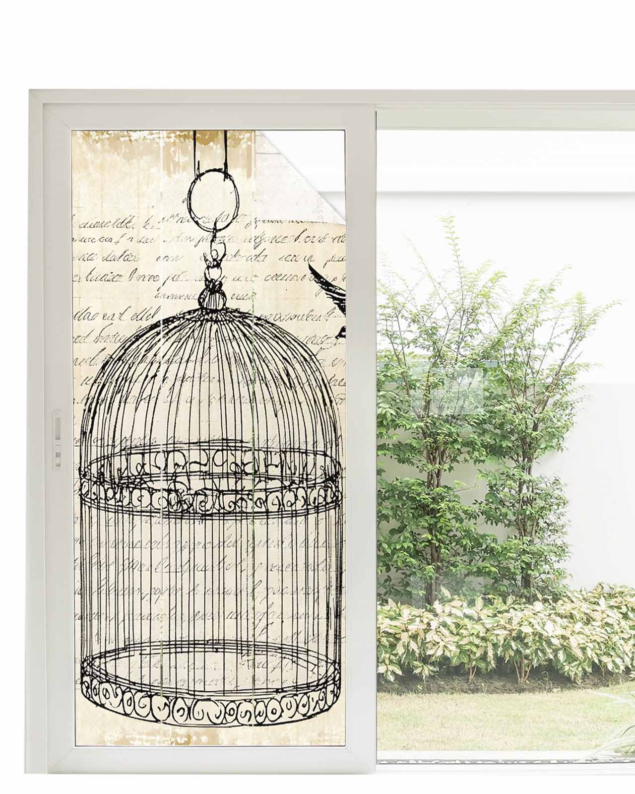 View of In front of window vs not? - Parrot Forum Parrot Owners Community