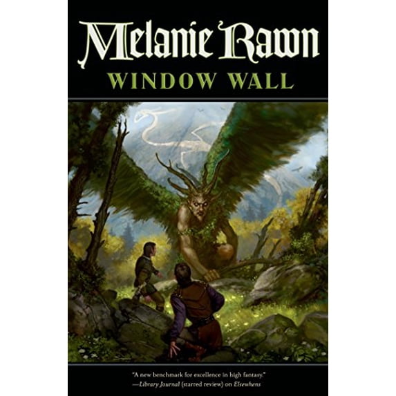 Pre-Owned Window Wall (Glass Thorns) (Hardcover) 0765377349 9780765377340