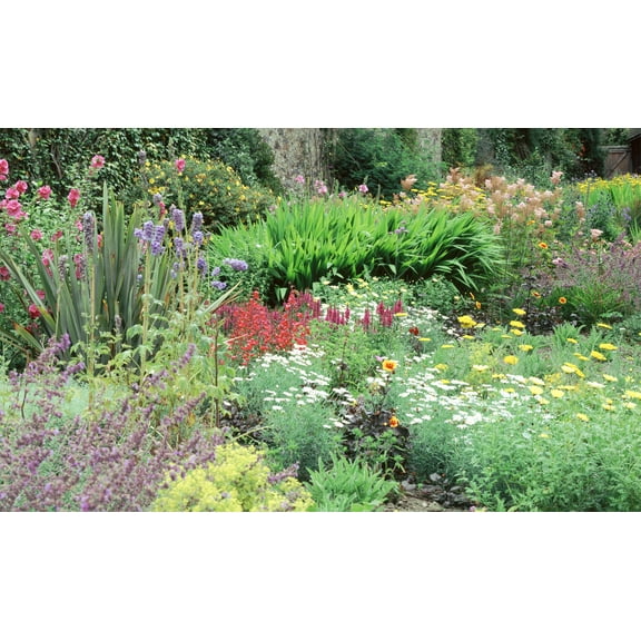 Window Well Scene-Flower 90" X 60"