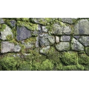 Window Well Scene-Moss 90" X 60"