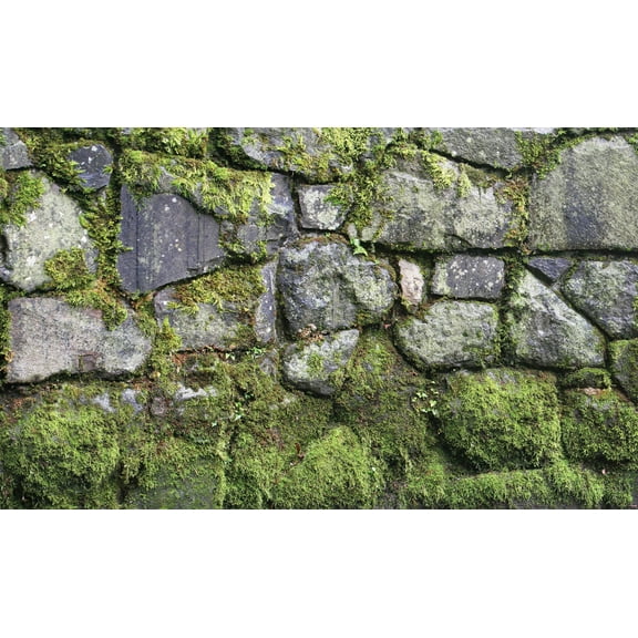 Window Well Scene-Moss 90" X 60"