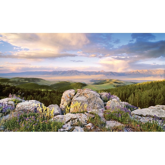 Window Well Scene-Sunrise 80" X 40"