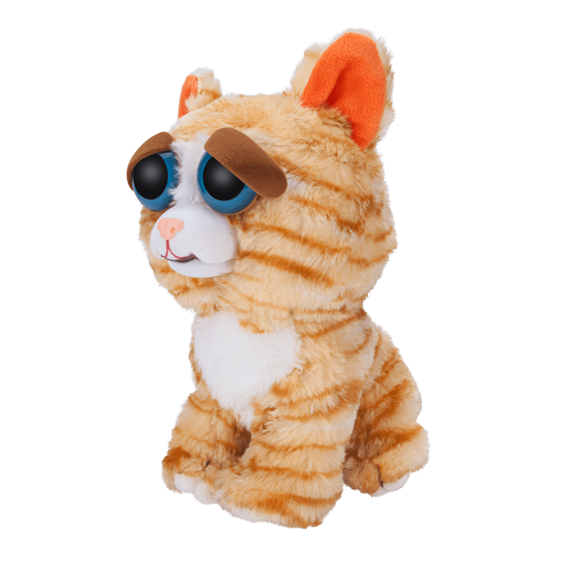 Feisty pets cat discount