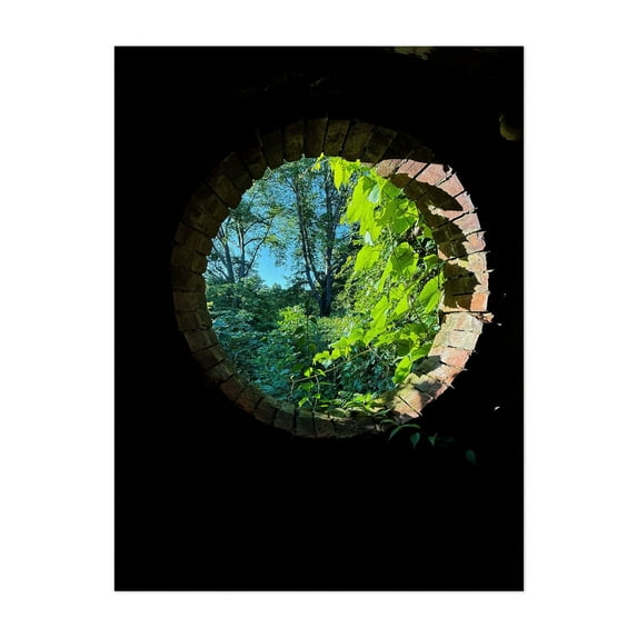 Window to July (HRSH) - Poughkeepsie New York Photography Nature Forest Architecture Garden Botanical Rustic Unframed Wall Art Print 16 x 20 inches