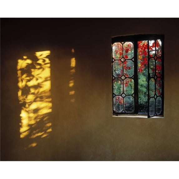 Window with Creeper Butterstream Co Meath Ireland Poster Print - 16 x 13