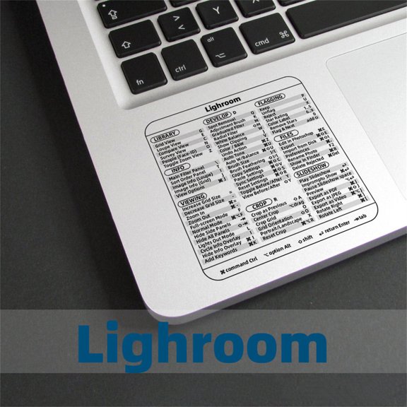 Windows Keyboard Shortcut Stickers for PC Laptop, Word and Excel Quick Reference Guide Vinyl Decals, Transparent Design for Efficiency, 3.15 in x 3.15 in, LR Version