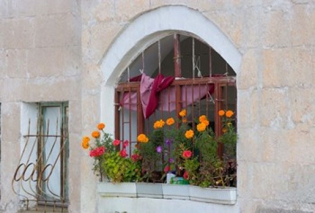 Windows and Flowers in Village Cappadoccia Turkey Canvas Art - Darrell Gulin DanitaDelimont (36 x 24)
