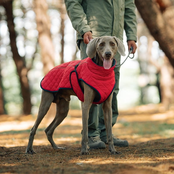Windproof Reflective Dog Coat for Outdoor Winter Warmth with Adjustable Built-In Straps and Secure Openings