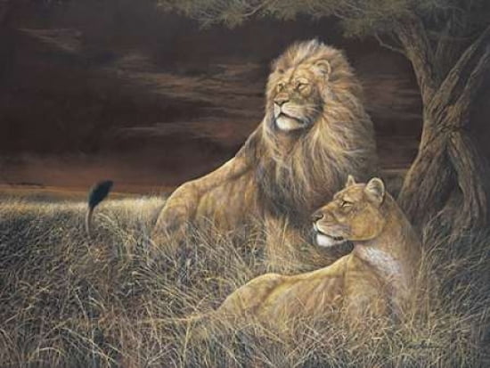 Winds of the Serengeti Canvas Art - Ruane Manning (22 x 28)