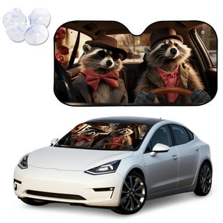 Windshield Sun Shade Funny