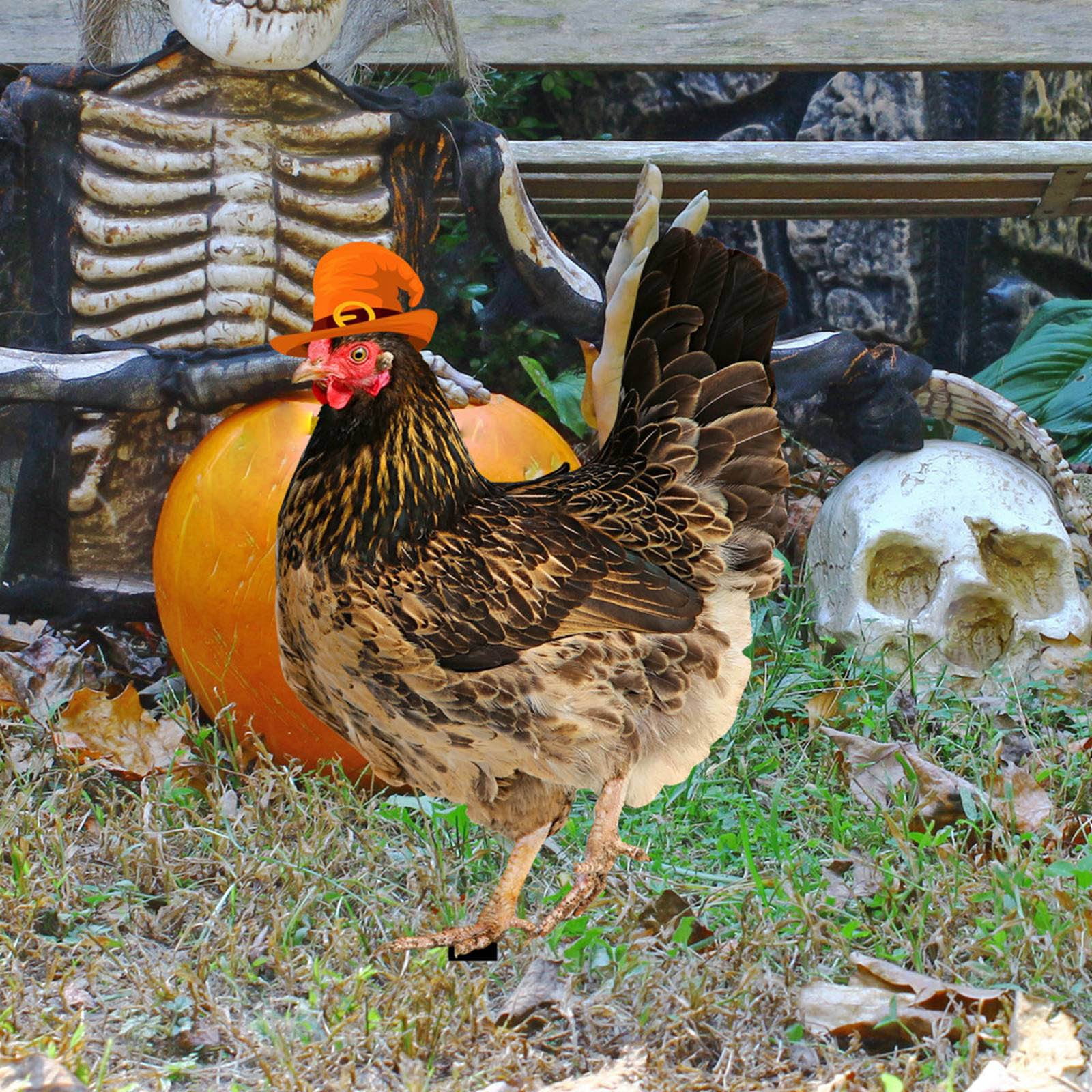 Windsock Rain Gauges for Yard Replacement Glass Chain Link Fence for