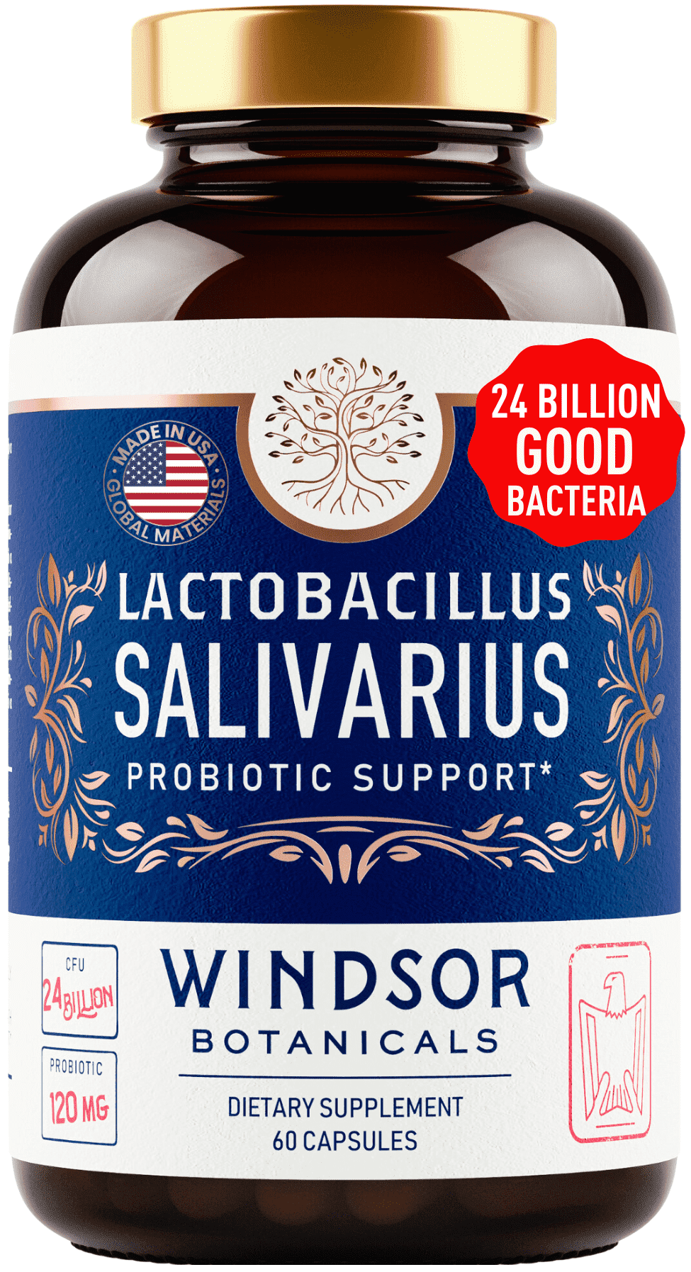 Windsor Botanicals Lactobacillus Salivarius 24bn CFU Probiotic - 60 Caps